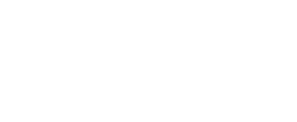 DBSYSTEM IT SOLUTIONS lOGO White